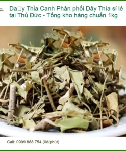 Phân phối Dây Thìa Canh sỉ lẻ tại Thủ Đức - Tổng kho hàng chuẩn 1kg