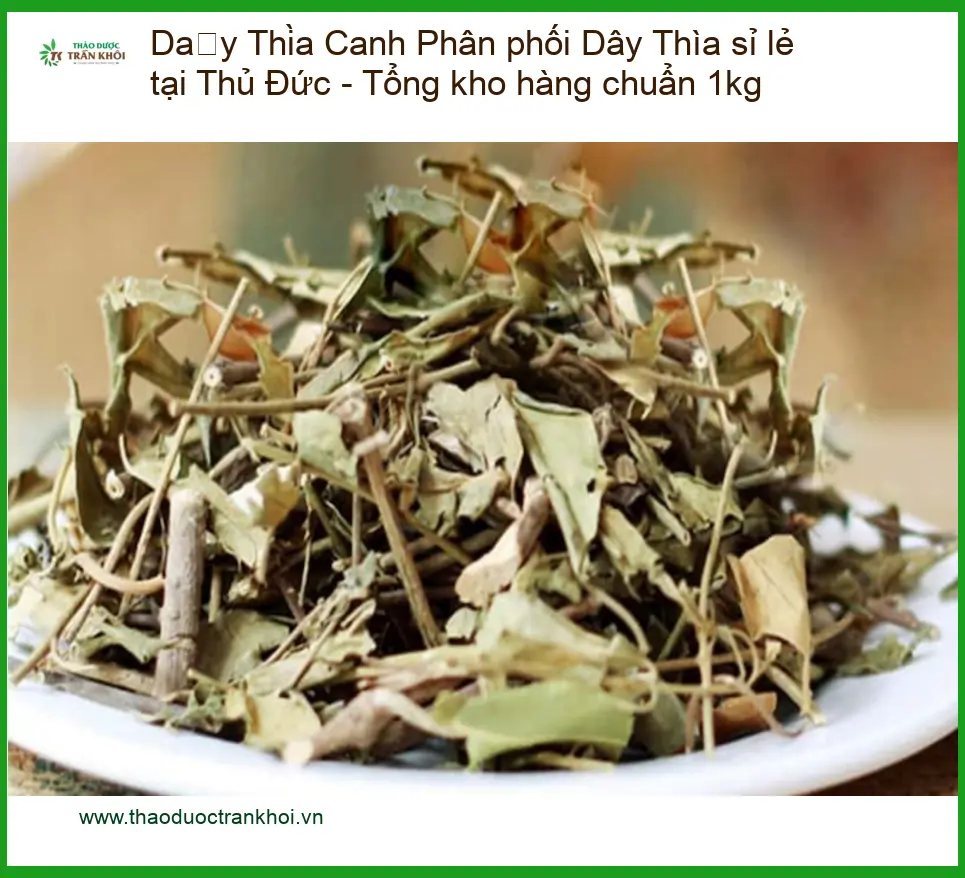Phân phối Dây Thìa Canh sỉ lẻ tại Thủ Đức - Tổng kho hàng chuẩn 1kg