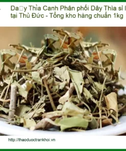 Phân phối Dây Thìa Canh sỉ lẻ tại Thủ Đức - Tổng kho hàng chuẩn 1kg