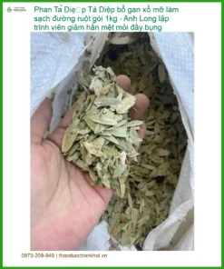 Phan Tả Diệp bổ gan xổ mỡ làm sạch đường ruột 1kg - Sỉ lẻ TPHCM