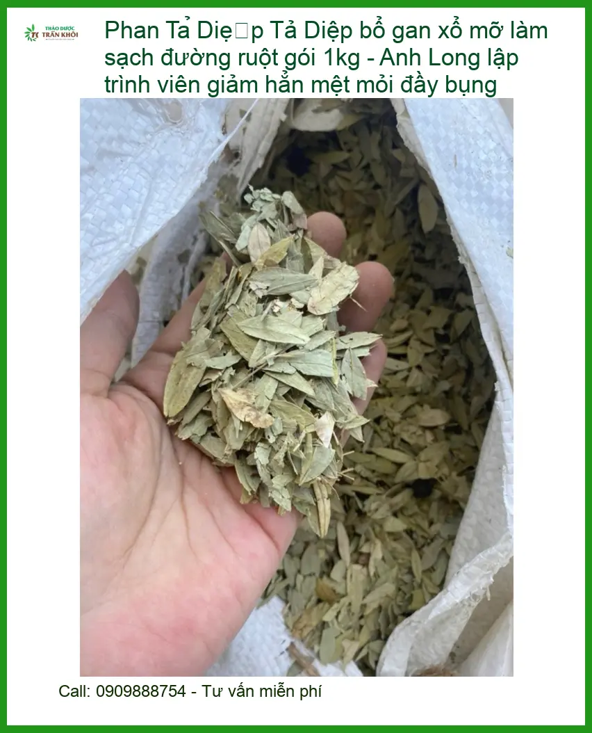 Phan Tả Diệp bổ gan xổ mỡ 1kg - Đơn vị Cung cấp Sỉ lẻ Giao nhanh TPHCM
