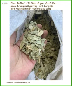 Phan Tả Diệp bổ gan xổ mỡ làm sạch ruột 1kg - Bán Giao nhanh TPHCM