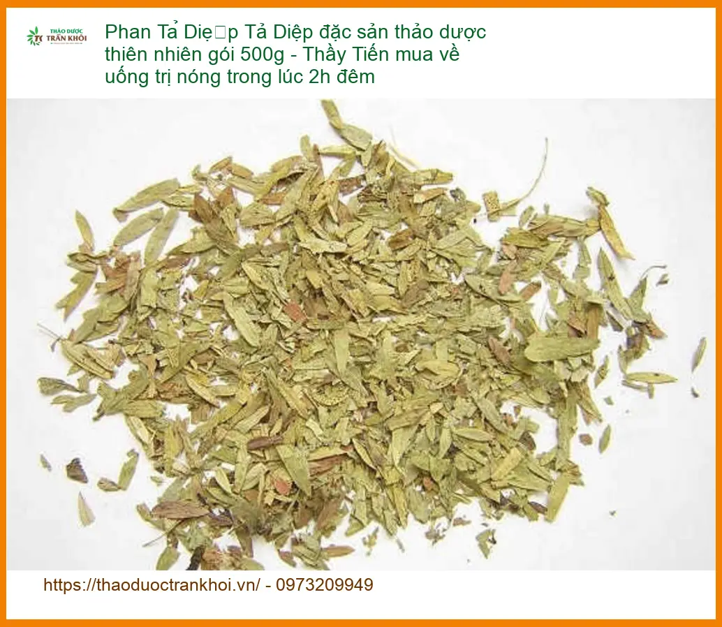 Phan Tả Diệp đặc sản thảo dược thiên nhiên gói 500g - Địa chỉ Bán Giao nhanh