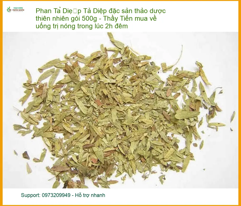 Phan Tả Diệp đặc sản thảo dược 500g - Địa chỉ Bán Giao nhanh TPHCM