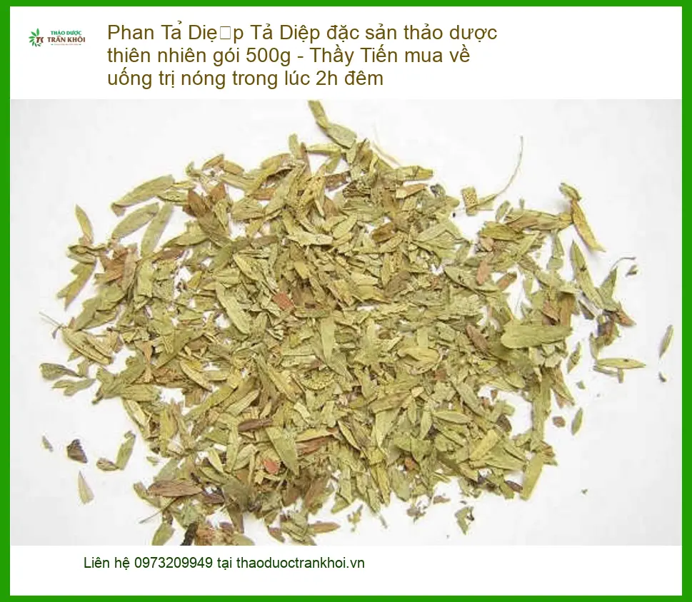 Phan Tả Diệp đặc sản thảo dược thiên nhiên 500g - Địa chỉ bán giao nhanh TPHCM