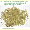 Phan Tả Diệp đặc sản thảo dược 500g - Địa chỉ bán giao nhanh TPHCM