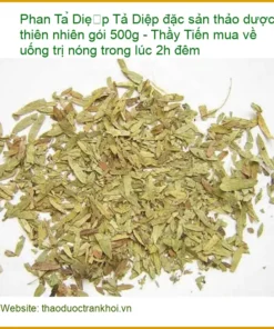 Phan Tả Diệp đặc sản thảo dược 500g - Địa chỉ bán giao nhanh TPHCM