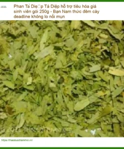 Phan Tả Diệp hỗ trợ tiêu hóa giá sinh viên gói 250g - Địa chỉ bán TPHCM