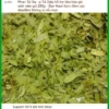 Phan Tả Diệp hỗ trợ tiêu hóa gói 250g - Địa chỉ Bán Giao nhanh TPHCM