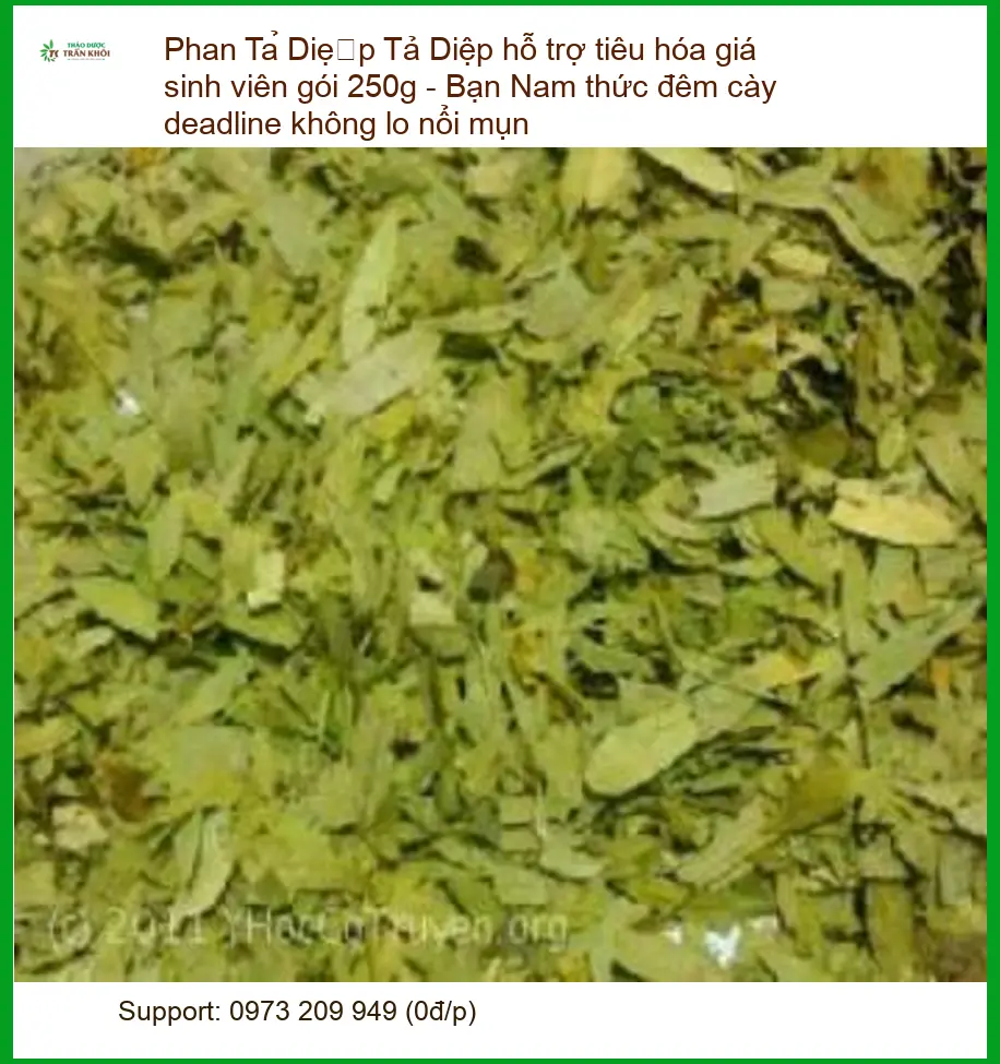 Phan Tả Diệp hỗ trợ tiêu hóa gói 250g - Địa chỉ Bán Giao nhanh TPHCM