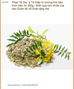 Phan Tả Diệp trị chứng khó tiêu kinh niên 300g - Sỉ lẻ có sẵn TPHCM