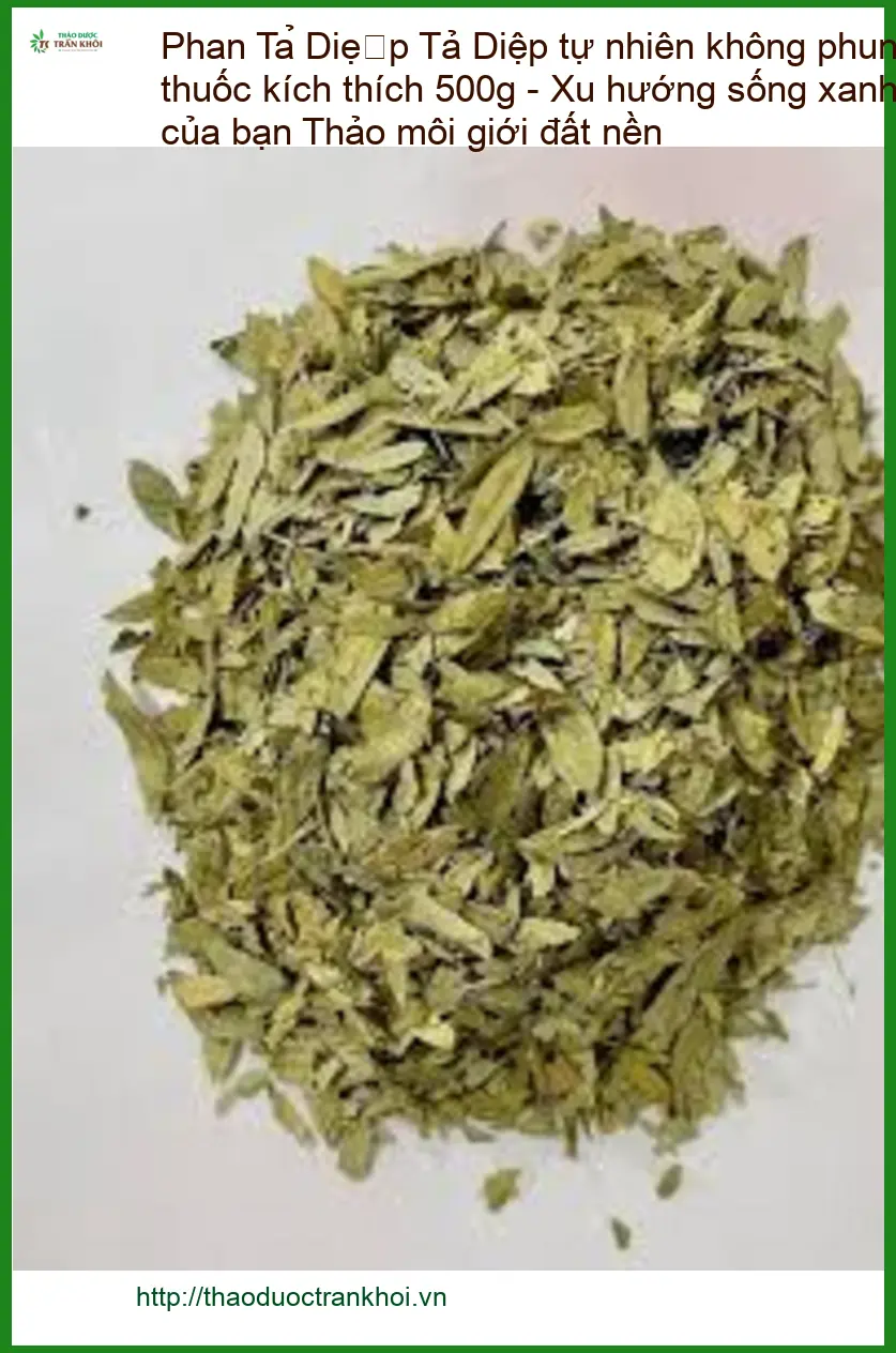 Phan Tả Diệp tự nhiên không phun thuốc kích thích 500g - Bán TPHCM
