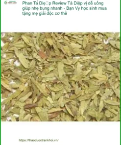 Phan Tả Diệp vị dễ uống giúp nhẹ bụng nhanh - Địa chỉ bán giao nhanh TPHCM
