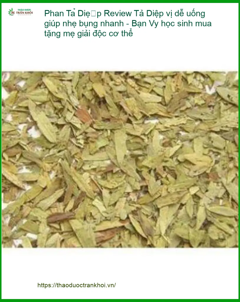 Phan Tả Diệp vị dễ uống giúp nhẹ bụng nhanh - Địa chỉ bán giao nhanh TPHCM