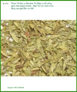 Phan Tả Diệp vị dễ uống giúp nhẹ bụng nhanh - Địa chỉ cung cấp có sẵn TPHCM