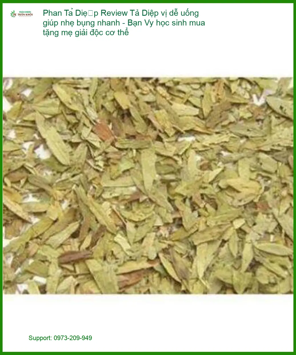 Phan Tả Diệp vị dễ uống giúp nhẹ bụng nhanh - Địa chỉ cung cấp có sẵn TPHCM