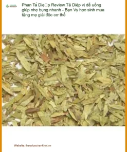 Phan Tả Diệp vị dễ uống giúp nhẹ bụng nhanh - Sỉ lẻ Giao nhanh TPHCM