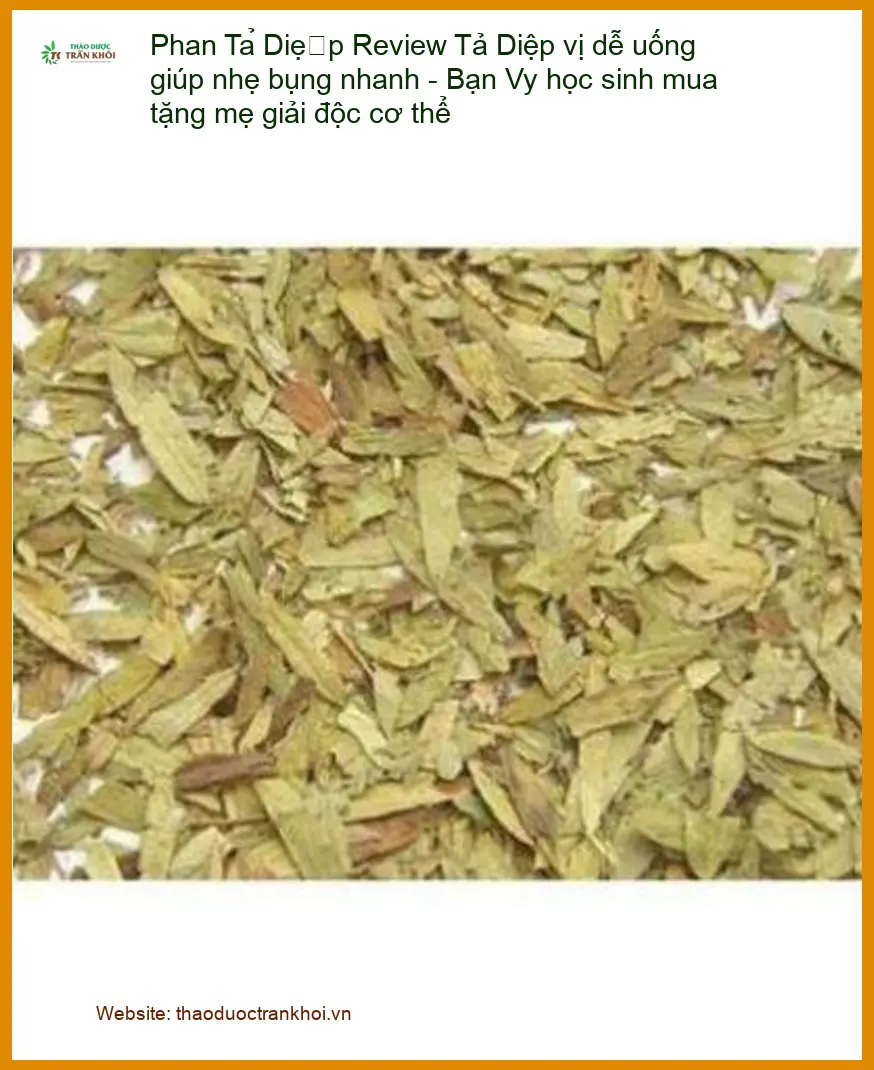 Phan Tả Diệp vị dễ uống giúp nhẹ bụng nhanh - Sỉ lẻ Giao nhanh TPHCM