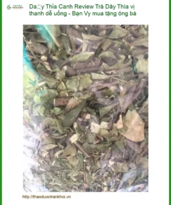 Review Trà Dây Thìa Canh vị thanh dễ uống - Bạn Vy mua tặng ông bà | Có sẵn Sài Gòn