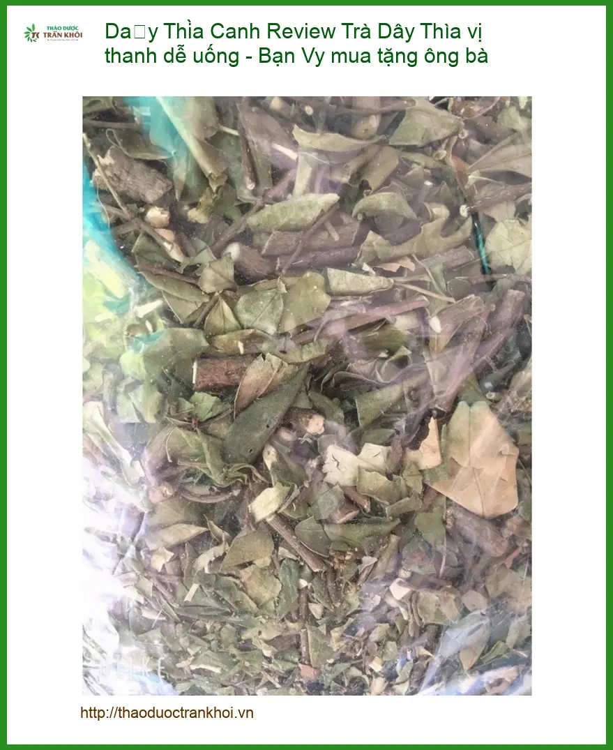 Review Trà Dây Thìa Canh vị thanh dễ uống - Bạn Vy mua tặng ông bà | Có sẵn Sài Gòn