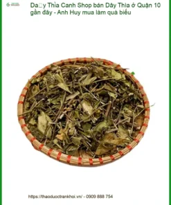 Shop bán Dây Thìa Canh ở Quận 10 gần đây - Anh Huy mua làm quà biếu