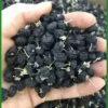 Hắc Kỷ Tử sấy lạnh Quận 10 - Quà biếu sếp giao gấp | Địa chỉ bán có sẵn TPHCM