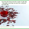 Shop bán Hoa Atiso Đỏ ở Quận 10 gần đây - Giao gấp ra sân bay cho anh Huy mang làm quà biếu sếp