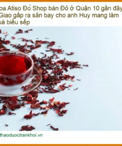 Shop bán Hoa Atiso Đỏ Quận 10 - Giao gấp sân bay - Đơn vị Cung cấp Có sẵn