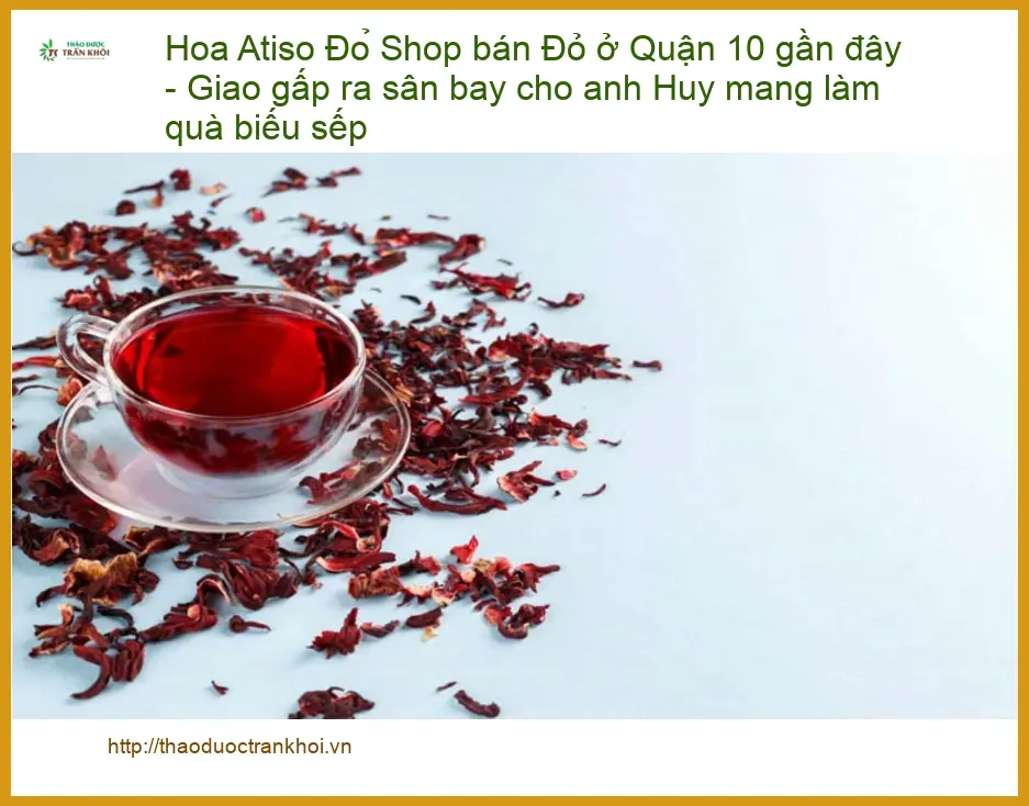 Hoa Atiso Đỏ tươi Quận 10 TPHCM - Địa chỉ bán giao gấp ra sân bay