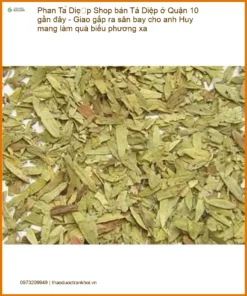 Phan Tả Diệp Quận 10 - Giao gấp sân bay | Địa chỉ Bán Giao nhanh TPHCM