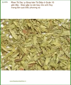 Shop bán Phan Tả Diệp Quận 10 gần đây - Đơn vị Cung cấp Giao nhanh