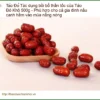 Tác dụng bồi bổ thần tốc của Táo Đỏ Khô 500g - Địa chỉ Bán Giao nhanh TPHCM