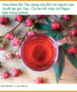 Hoa Atiso Đỏ cho người cao huyết áp gói 1kg - Địa chỉ Bán Giao nhanh TPHCM