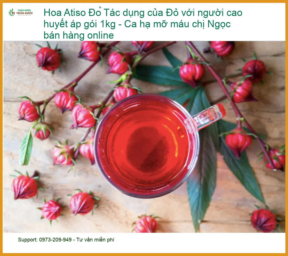 Hoa Atiso Đỏ cho người cao huyết áp gói 1kg - Địa chỉ Bán Giao nhanh TPHCM