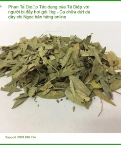 Tác dụng của Phan Tả Diệp với người bị đầy hơi gói 1kg - Bán Giao nhanh TPHCM
