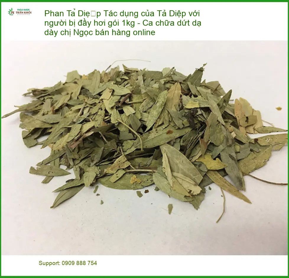 Tác dụng của Phan Tả Diệp với người bị đầy hơi gói 1kg - Bán Giao nhanh TPHCM