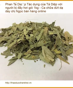 Phan Tả Diệp trị đầy hơi, dạ dày gói 1kg - Địa chỉ Bán Giao nhanh TPHCM