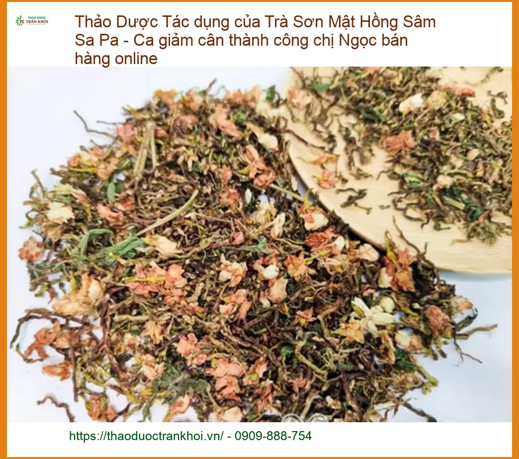 Trà Sơn Mật Hồng Sâm Sa Pa - Giảm cân thành công - Địa chỉ Bán Giao nhanh TPHCM
