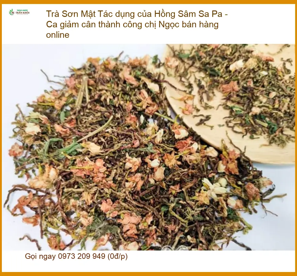 Trà Sơn Mật Hồng Sâm Sa Pa giảm cân - Địa chỉ Bán Sỉ lẻ Giao nhanh TPHCM