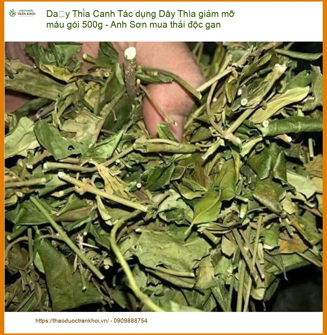Dây Thìa Canh giảm mỡ máu gói 500g - Anh Sơn - Địa chỉ Bán Giao nhanh tại TPHCM
