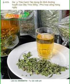 Tác dụng ổn định đường huyết của Dây Thìa Canh 500g - Địa chỉ bán TPHCM