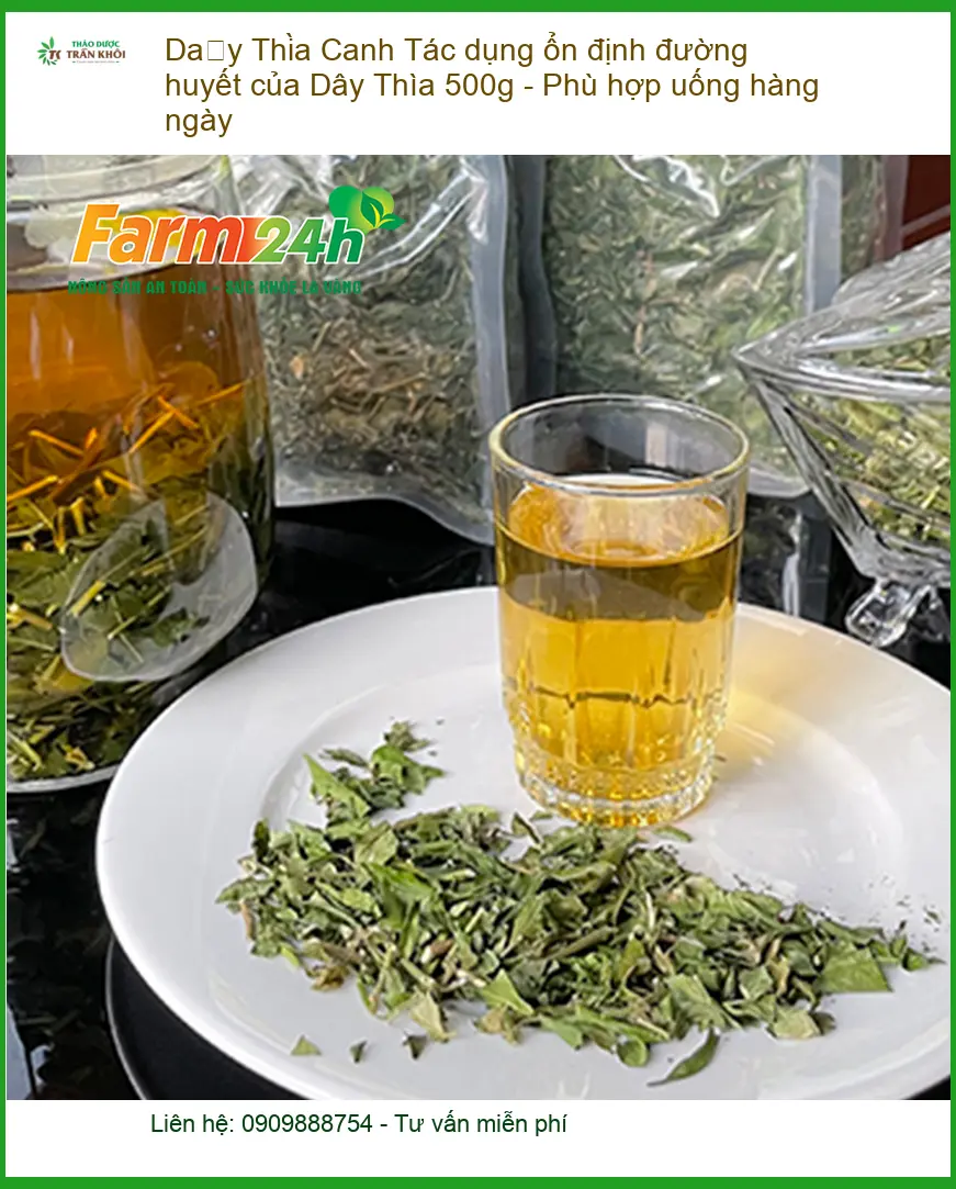 Tác dụng ổn định đường huyết của Dây Thìa Canh 500g - Địa chỉ bán TPHCM