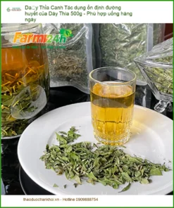 Tác dụng ổn định đường huyết của Dây Thìa Canh 500g - Đơn vị Sỉ lẻ Có sẵn TPHCM