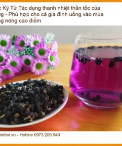 Hắc Kỷ Tử 500g thanh nhiệt thần tốc - Địa chỉ bán giao nhanh TPHCM