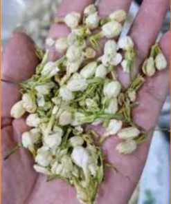 Tác dụng thanh nhiệt thần tốc của Hoa Nhài 500g - Địa chỉ Bán Giao nhanh HCM