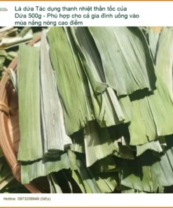 Lá Dứa 500g thanh nhiệt thần tốc mùa nắng nóng - Địa chỉ Bán Giao nhanh TPHCM
