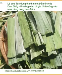 Tác dụng thanh nhiệt thần tốc của Lá Dứa 500g - Địa chỉ Bán Giao nhanh TPHCM
