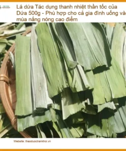 Lá Dứa 500g thanh nhiệt thần tốc mùa nắng nóng - Địa chỉ Bán Giao nhanh TPHCM