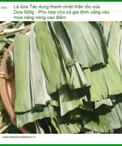 Lá Dứa 500g Thanh Nhiệt Thần Tốc Cho Gia Đình - Địa chỉ Bán Giao nhanh TPHCM