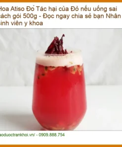 Tác hại của Hoa Atiso Đỏ nếu uống sai cách gói 500g - Địa chỉ bán có sẵn